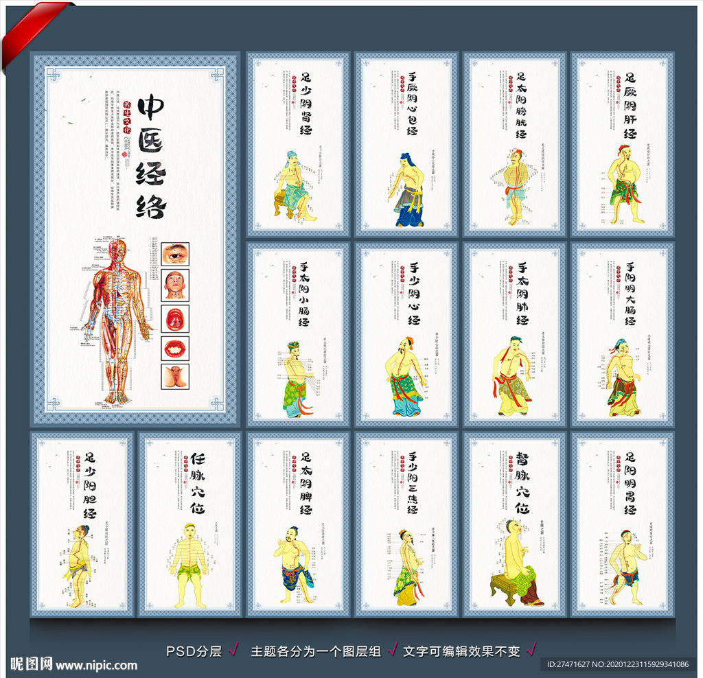 穴位图