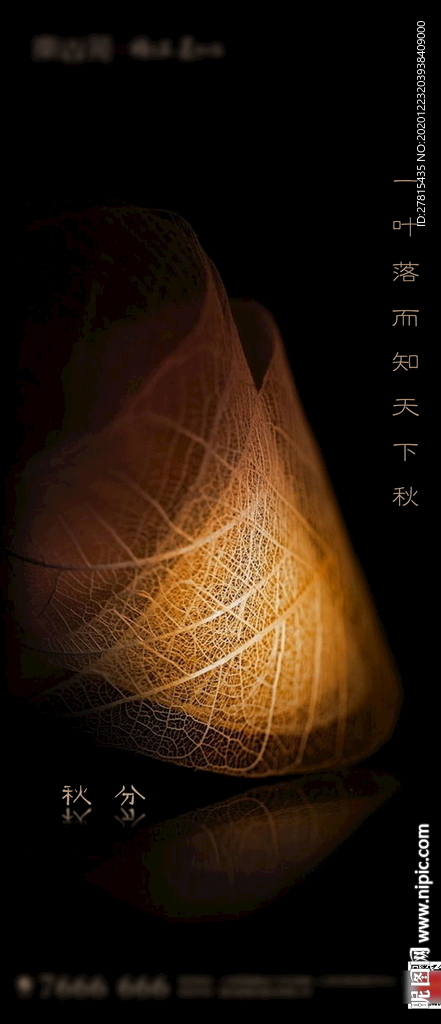 秋分