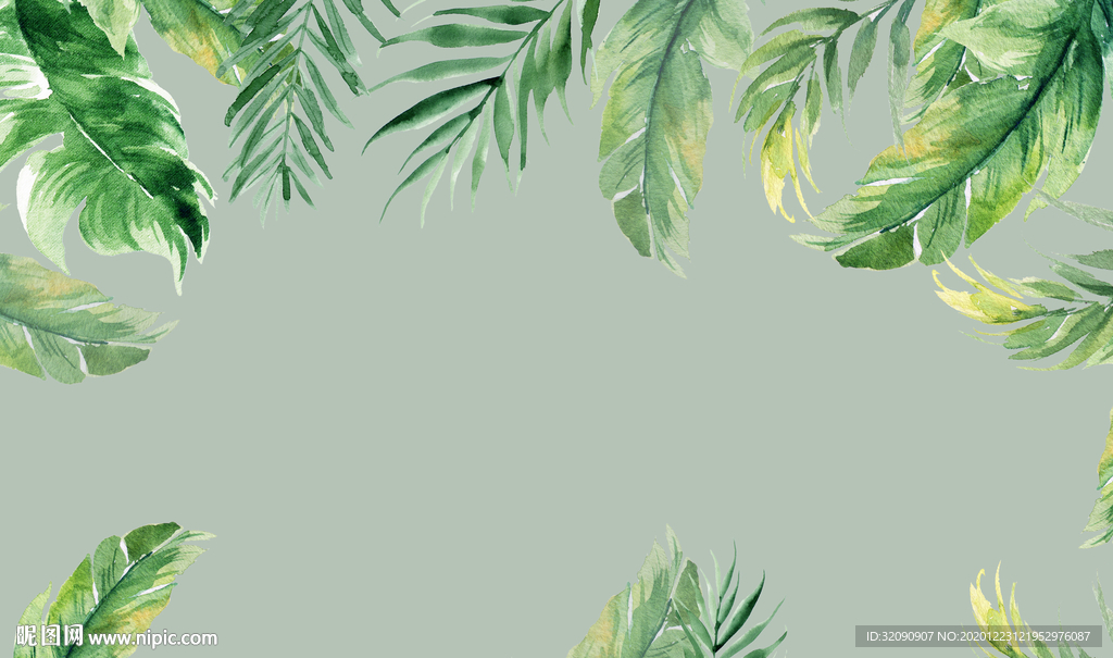 芭蕉叶龟背叶植物叶背景墙