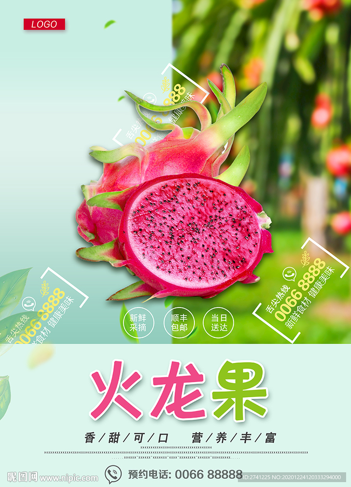 火龙果