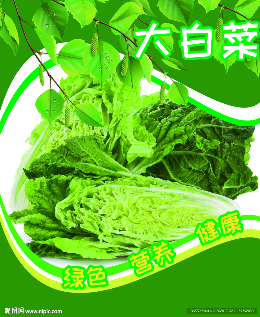 大白菜