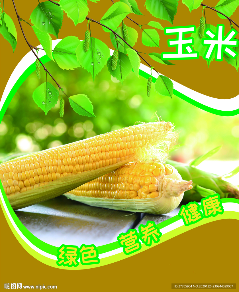 玉米