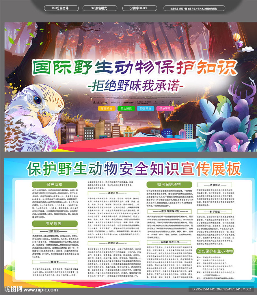 保护野生动物