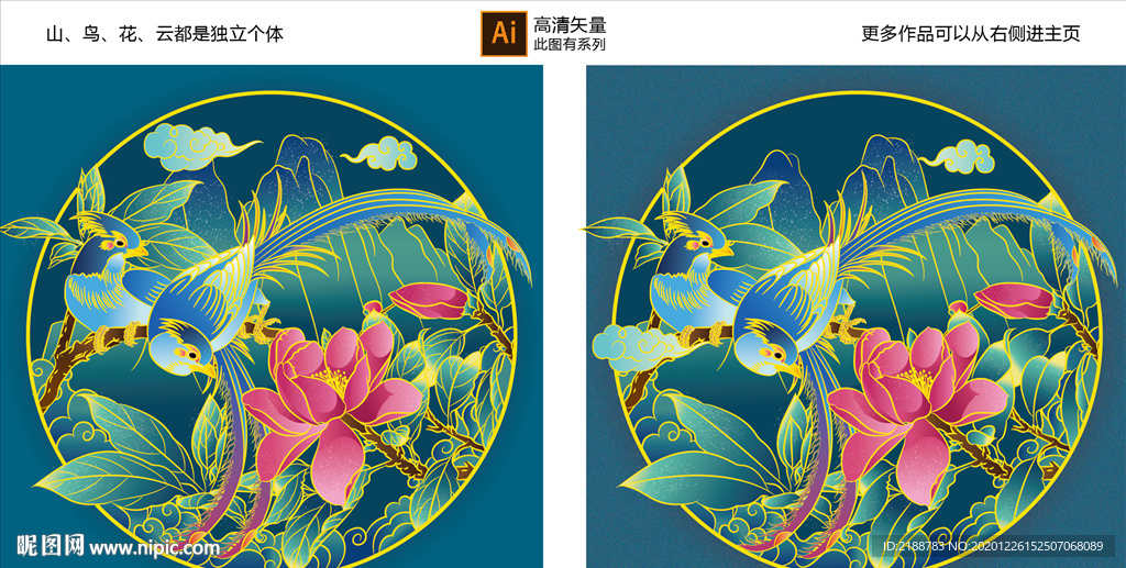花鸟插画
