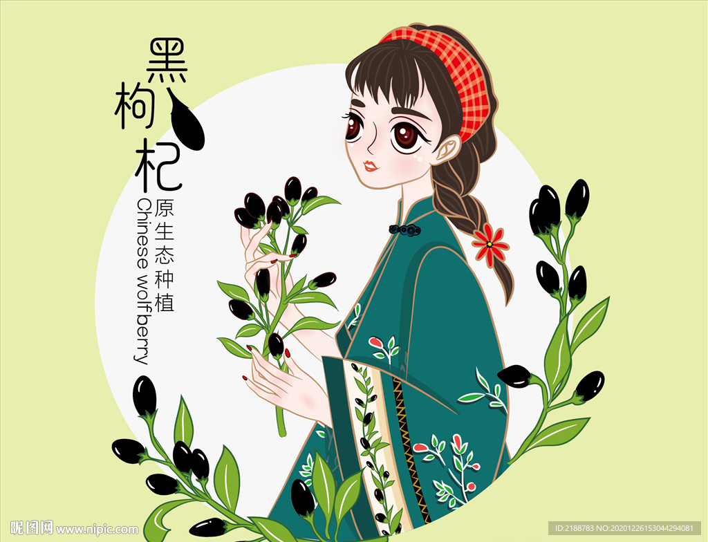 手绘枸杞