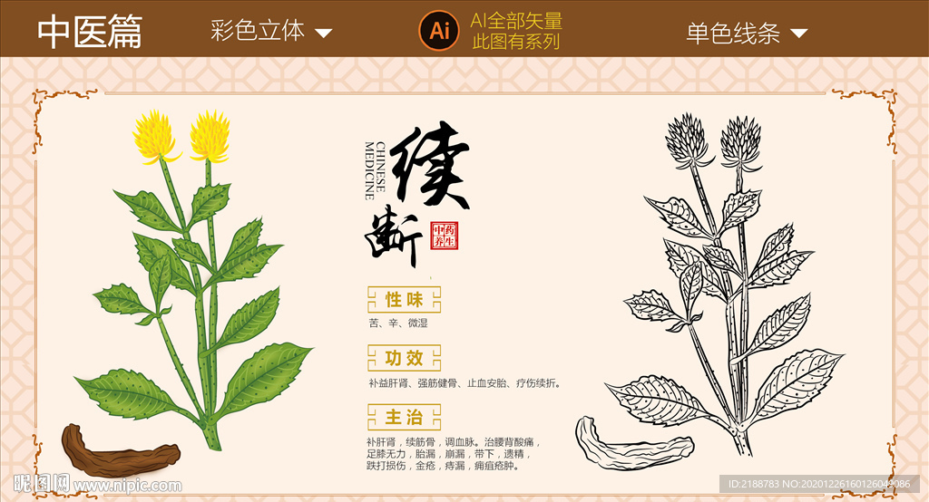 续断