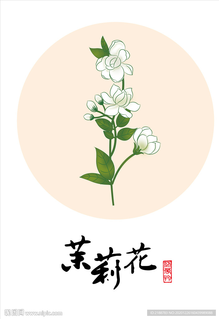 矢量茉莉花