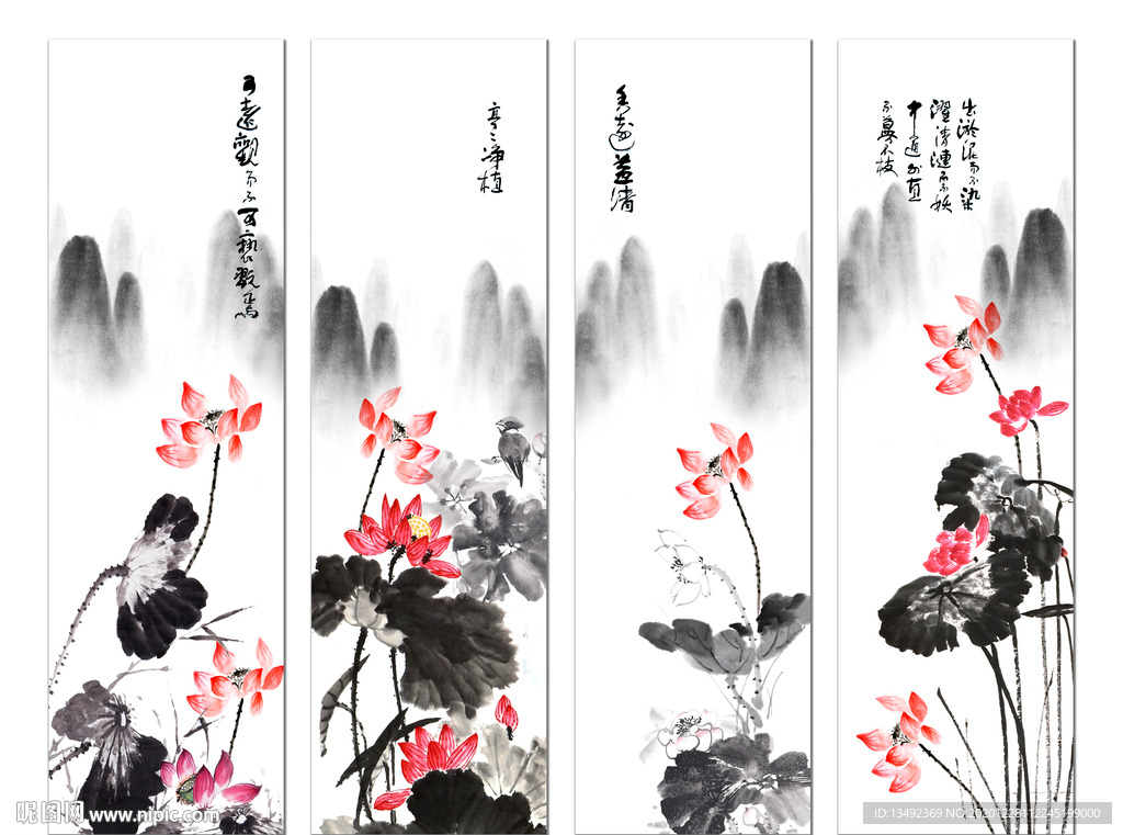 黑白荷花