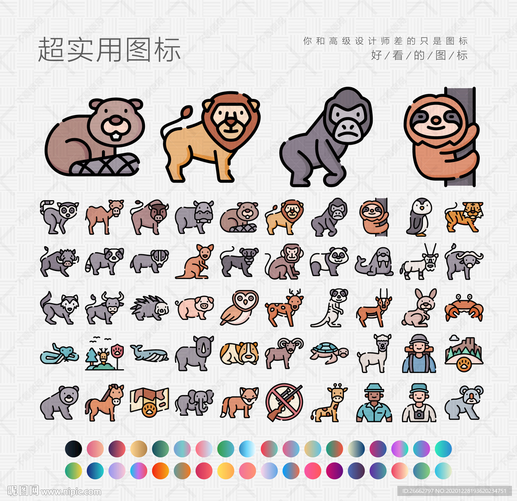 野生动物
