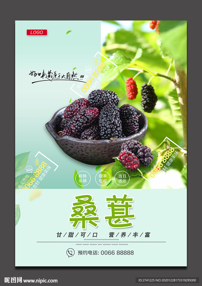 桑葚