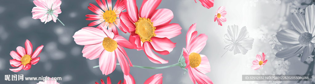 菊花