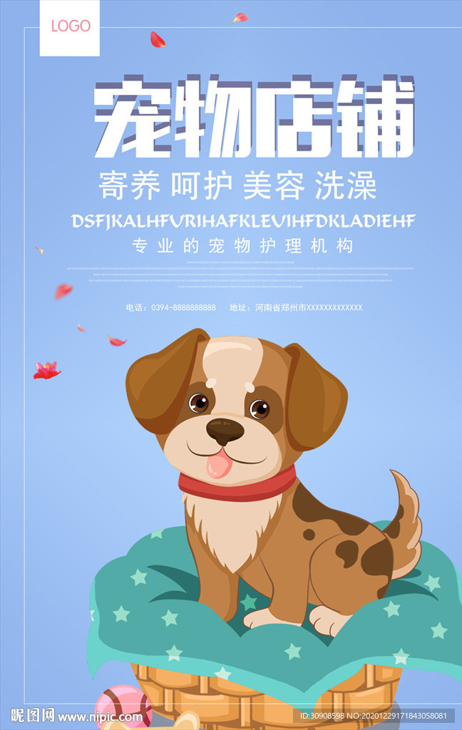 宠物