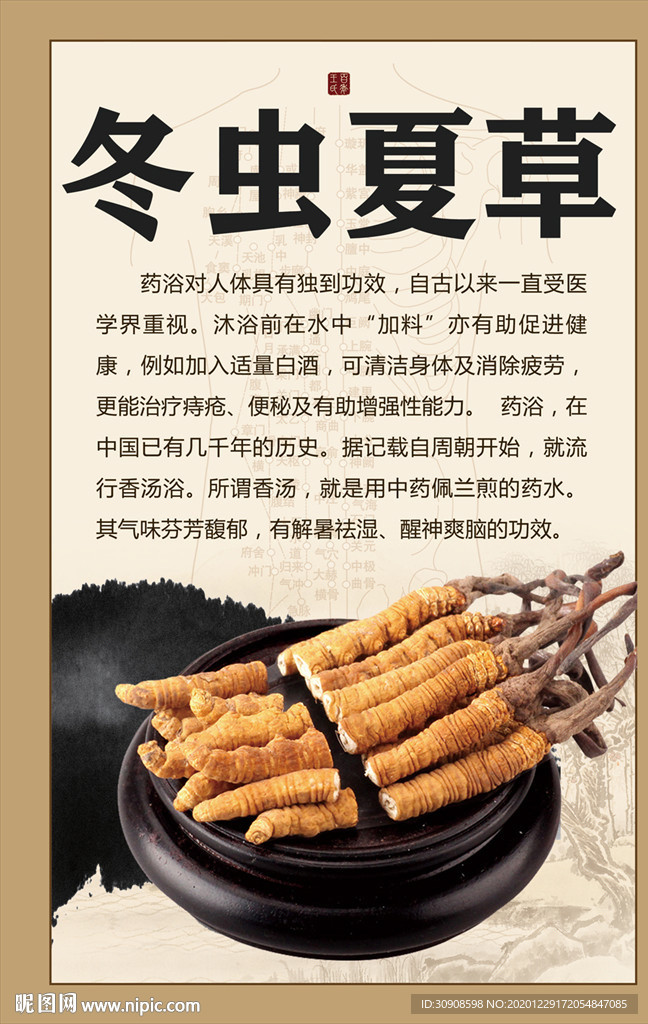 冬虫夏草