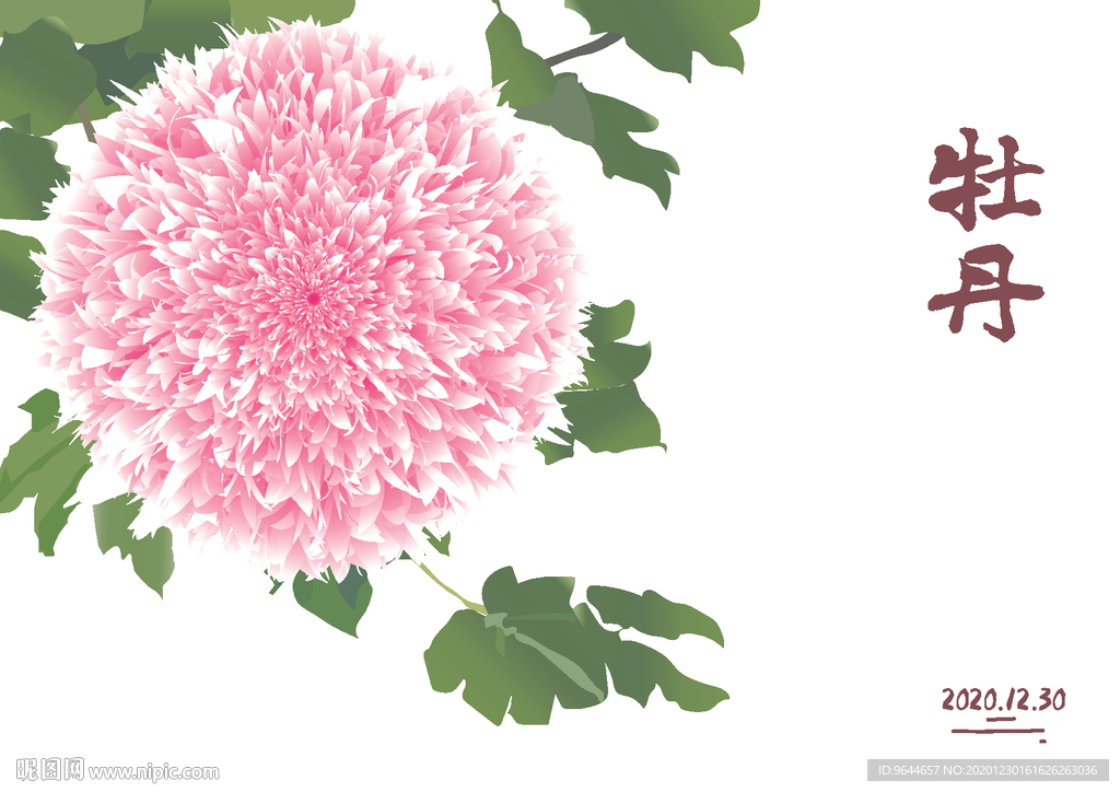 牡丹 花 手绘 美图 粉 壁纸