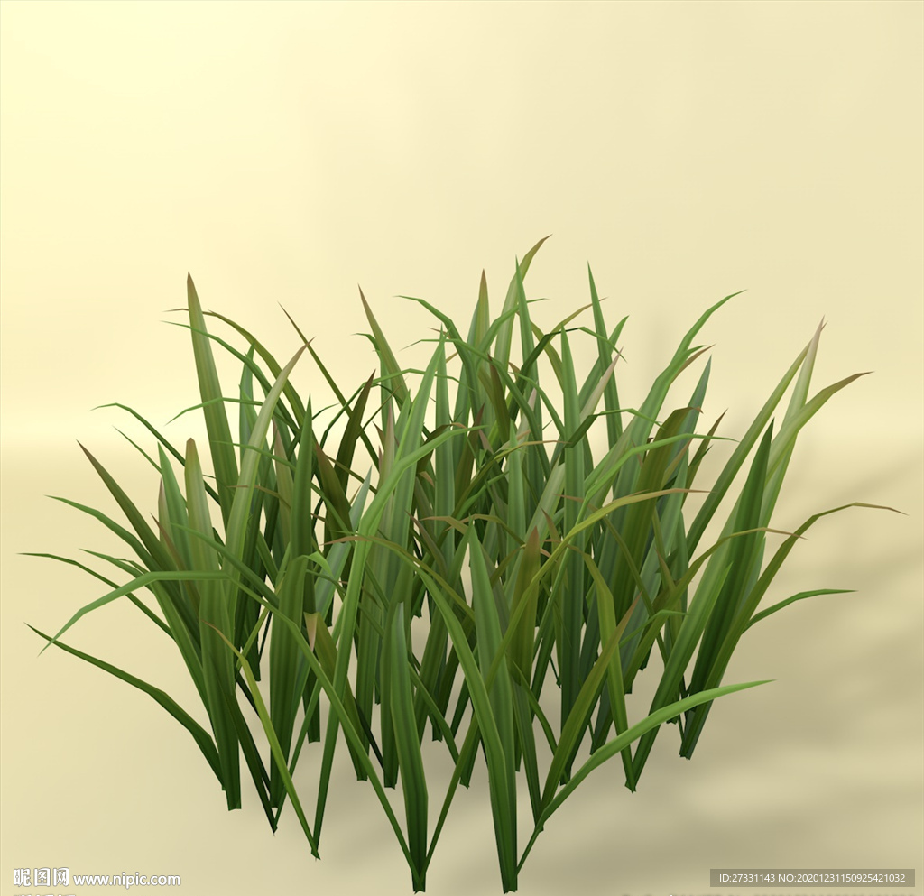 花草模型 植物模型 花卉模型