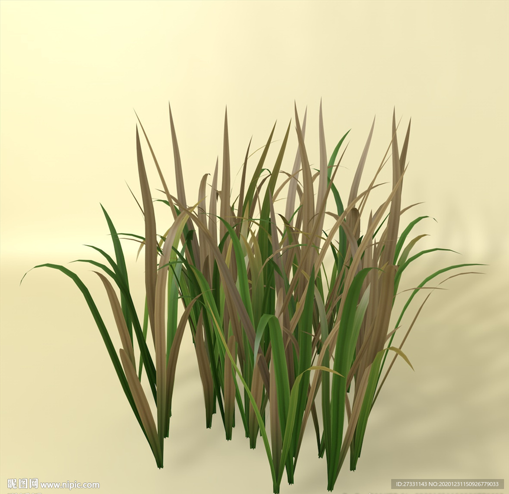 花草模型 植物模型 花卉模型