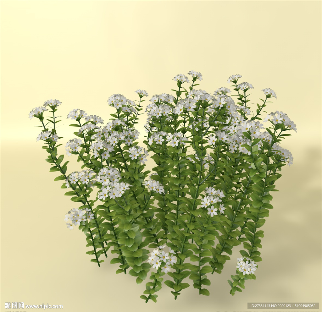 花草模型 植物模型 花卉模型