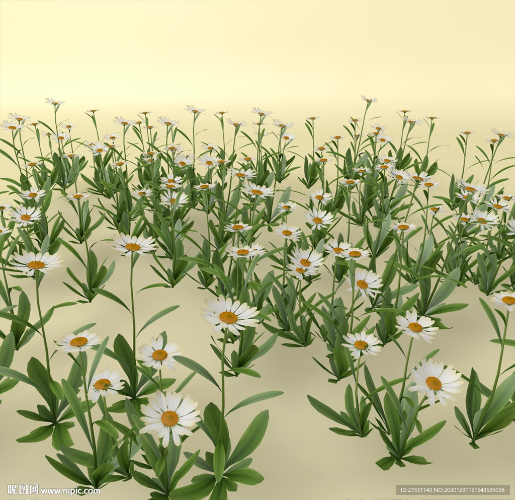 花草模型 植物模型 花卉模型