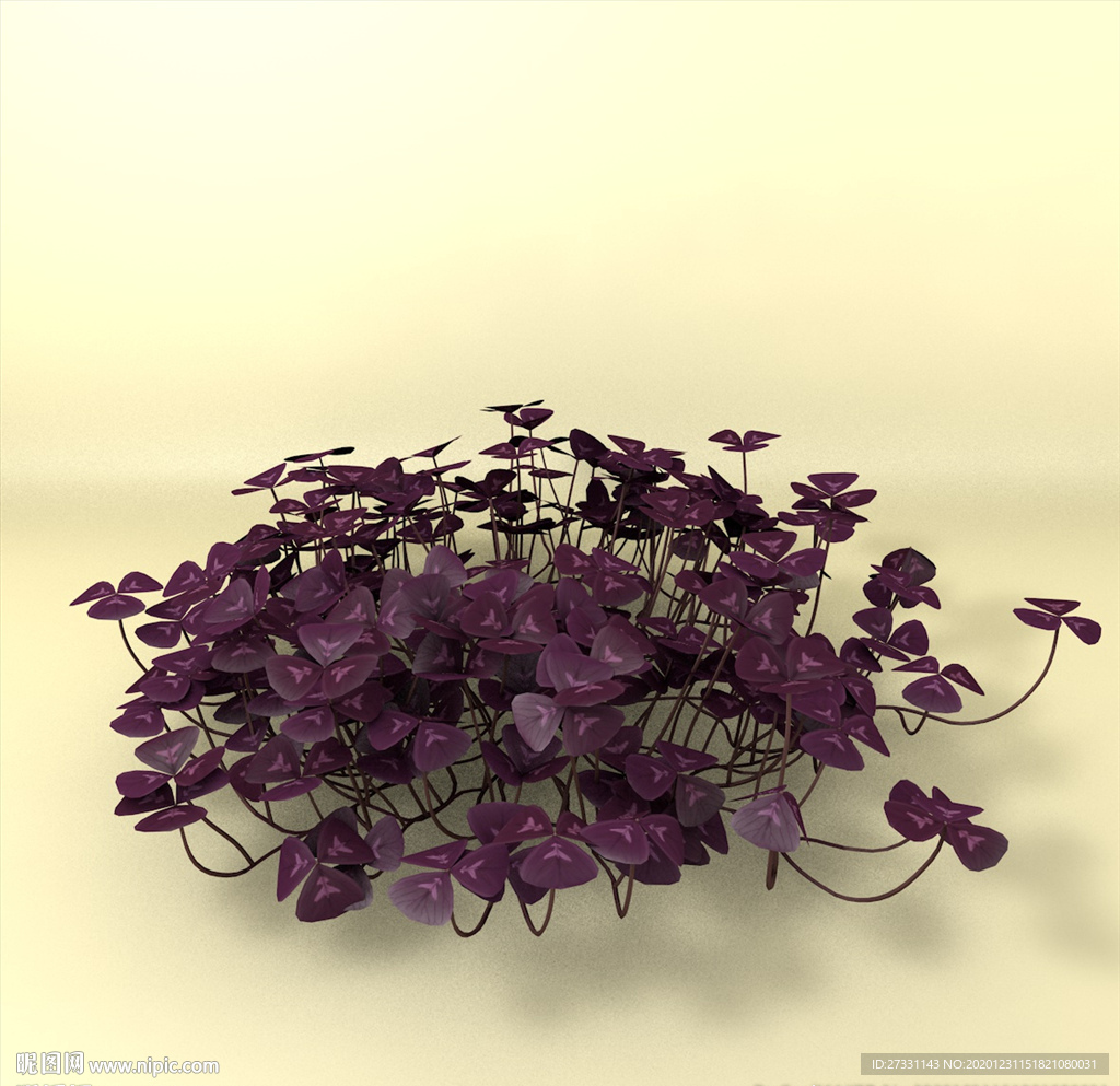 花草模型 植物模型 花卉模型
