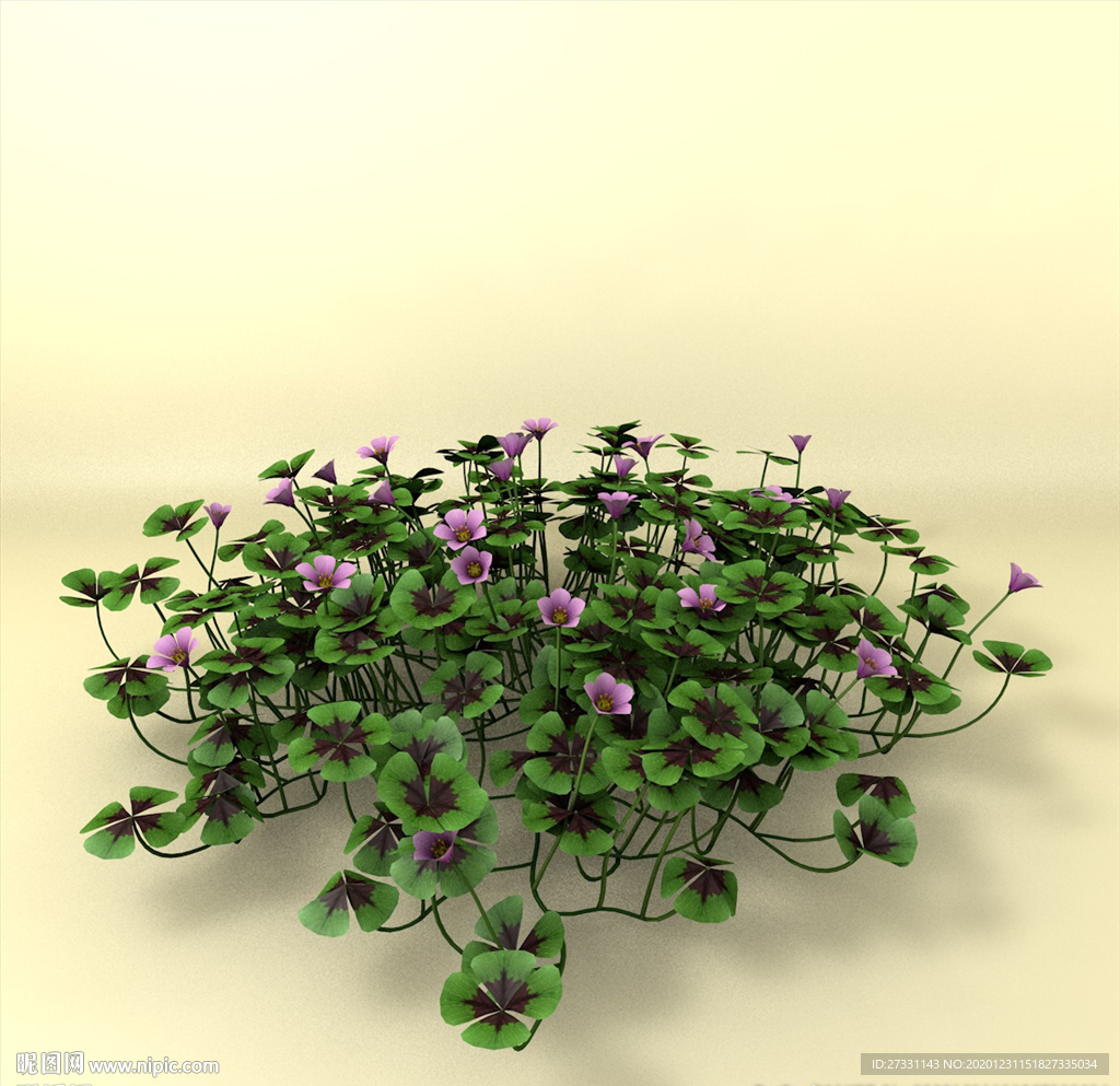 花草模型 植物模型 花卉模型