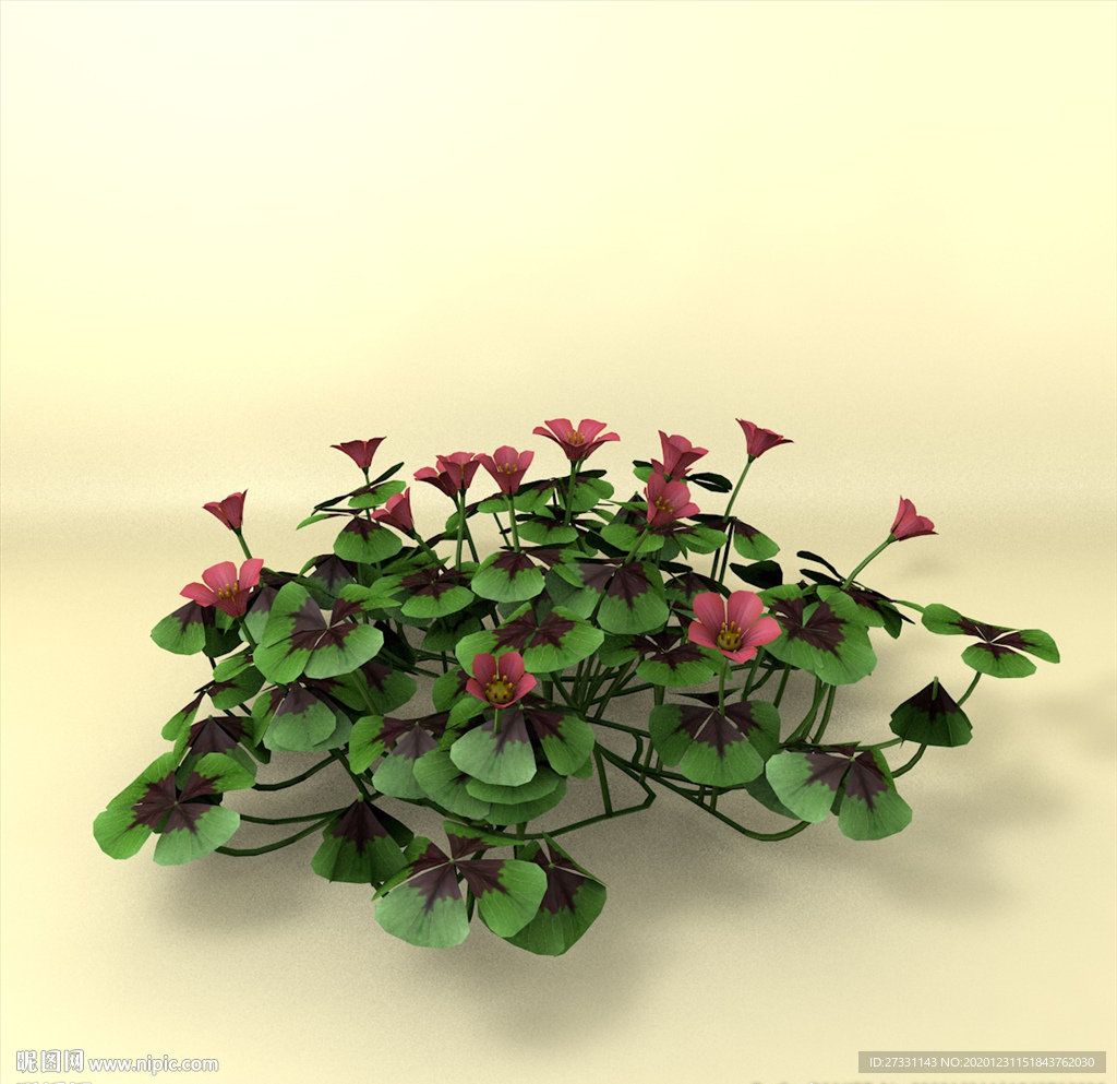 花草模型 植物模型 花卉模型