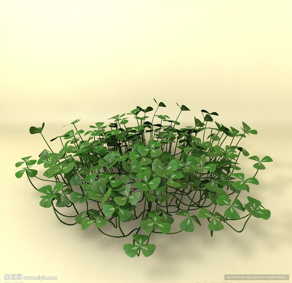 花草模型 植物模型 花卉模型
