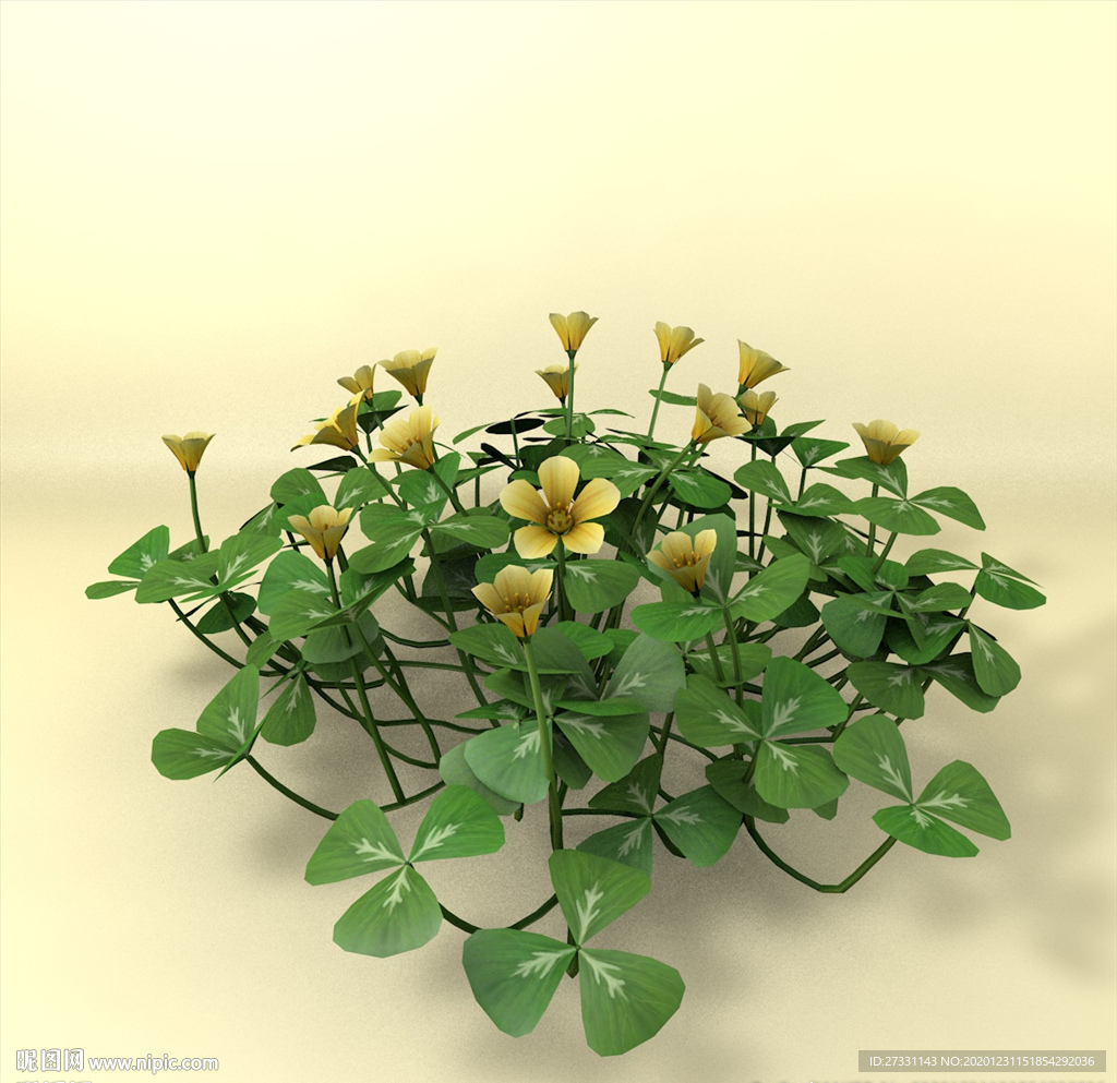 花草模型 植物模型 花卉模型