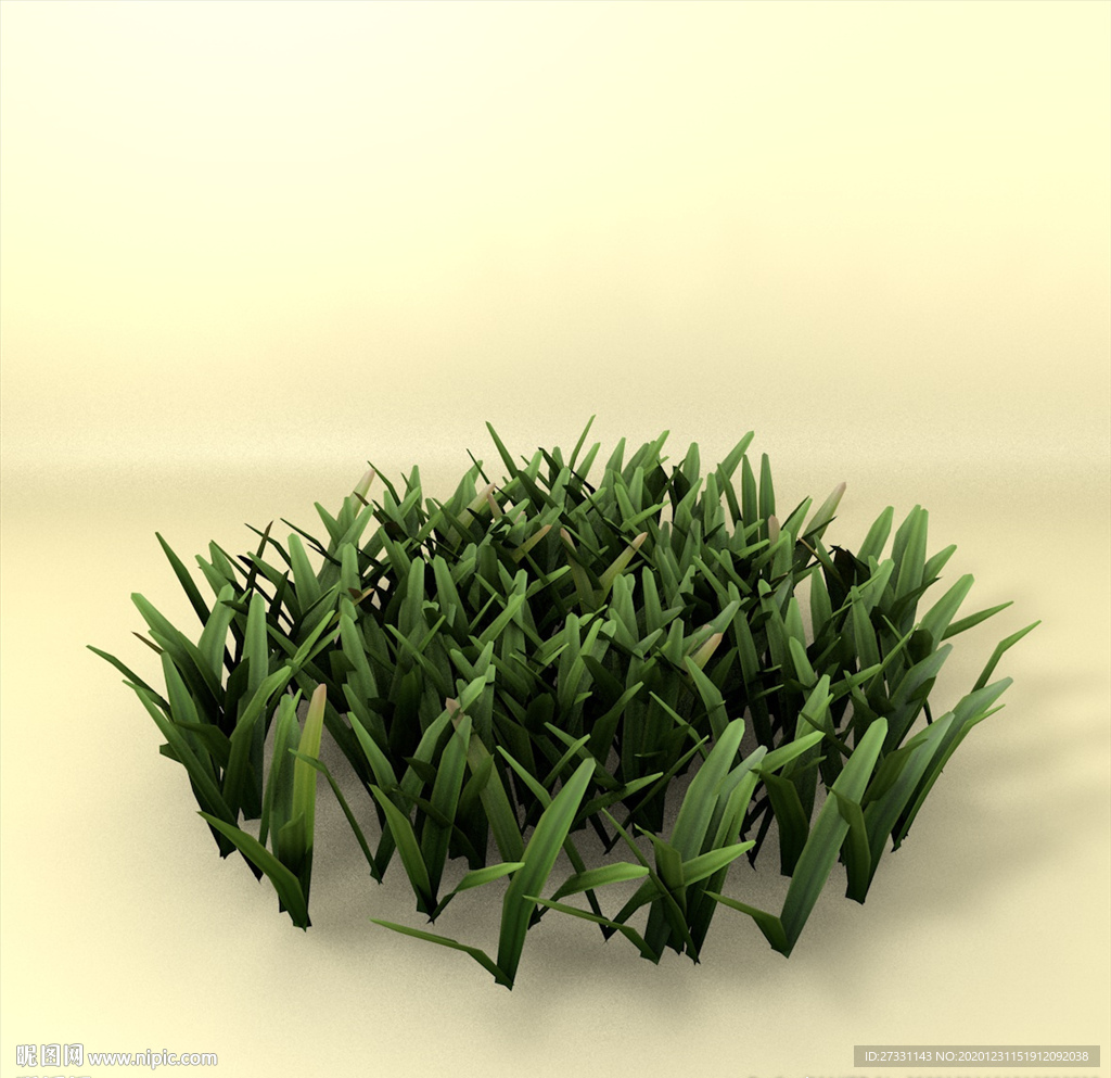 花草模型 植物模型 花卉模型