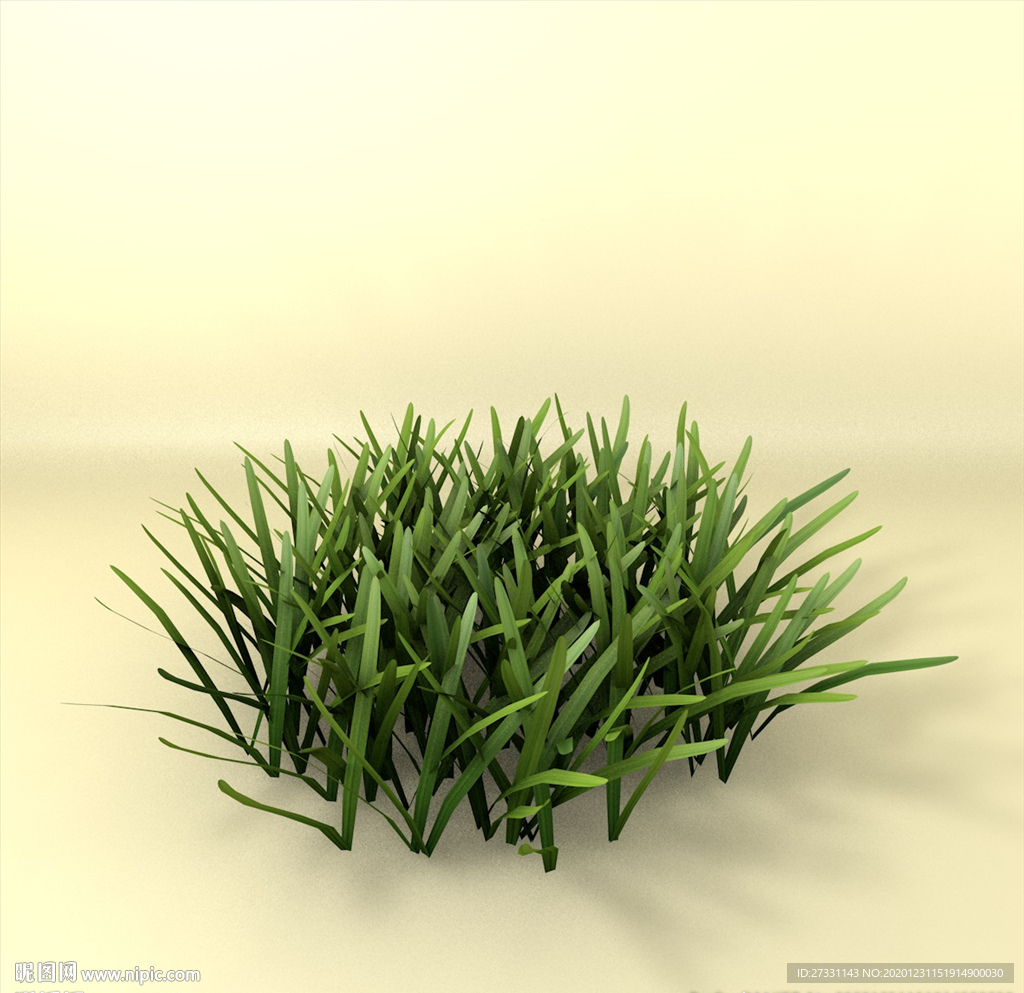 花草模型 植物模型 花卉模型