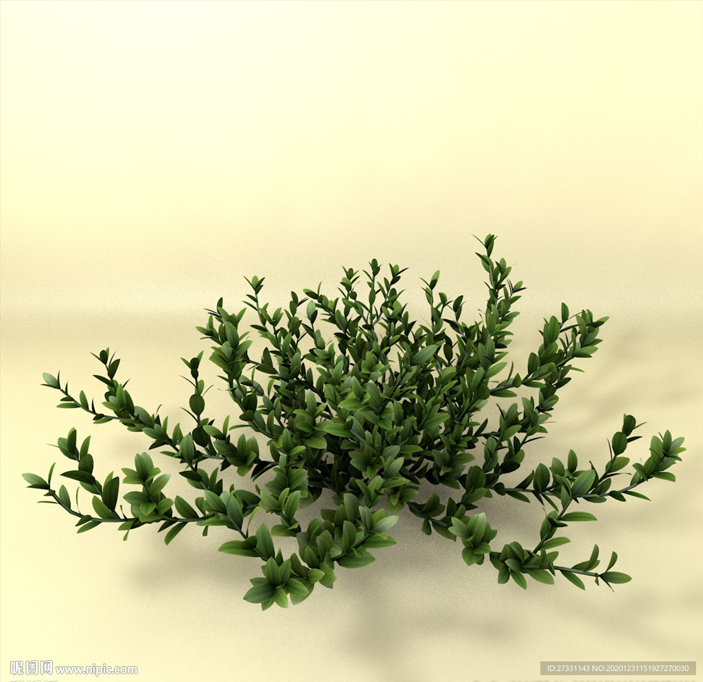 花草模型 植物模型 花卉模型