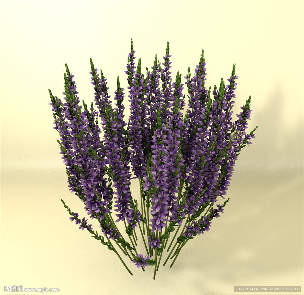 花草模型 植物模型 花卉模型