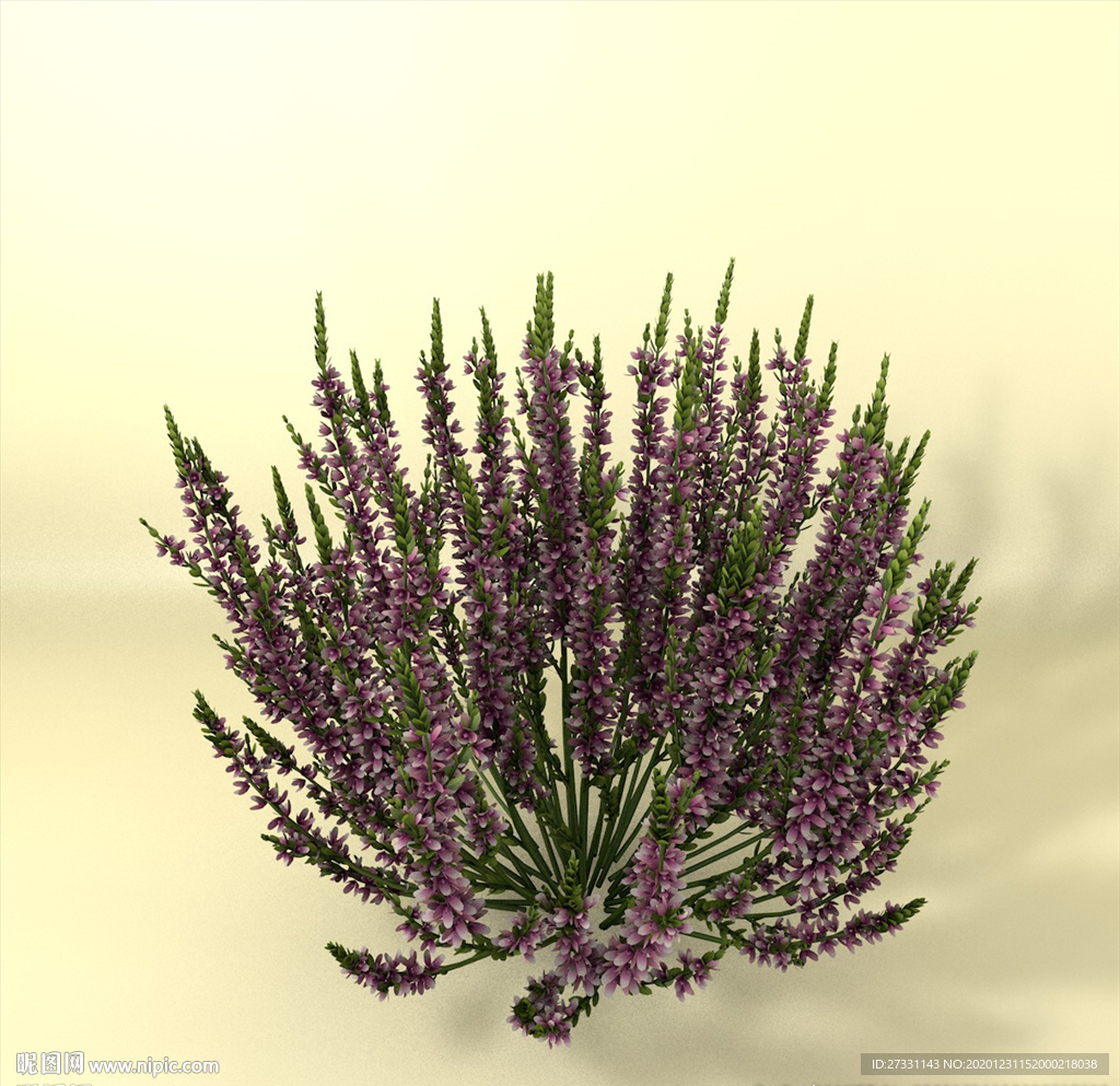花草模型 植物模型 花卉模型