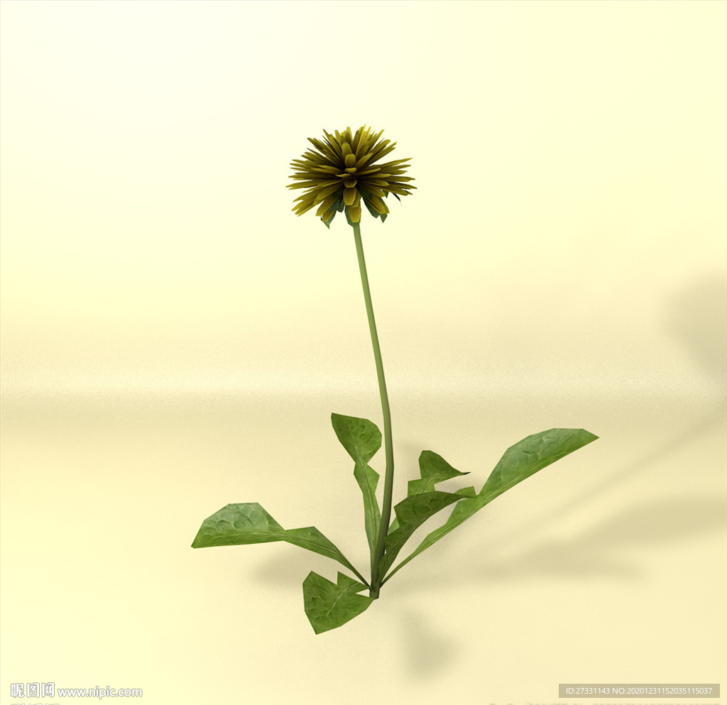 花草模型 植物模型 花卉模型