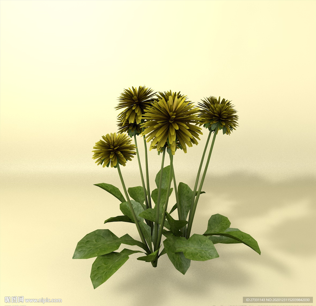花草模型 植物模型 花卉模型
