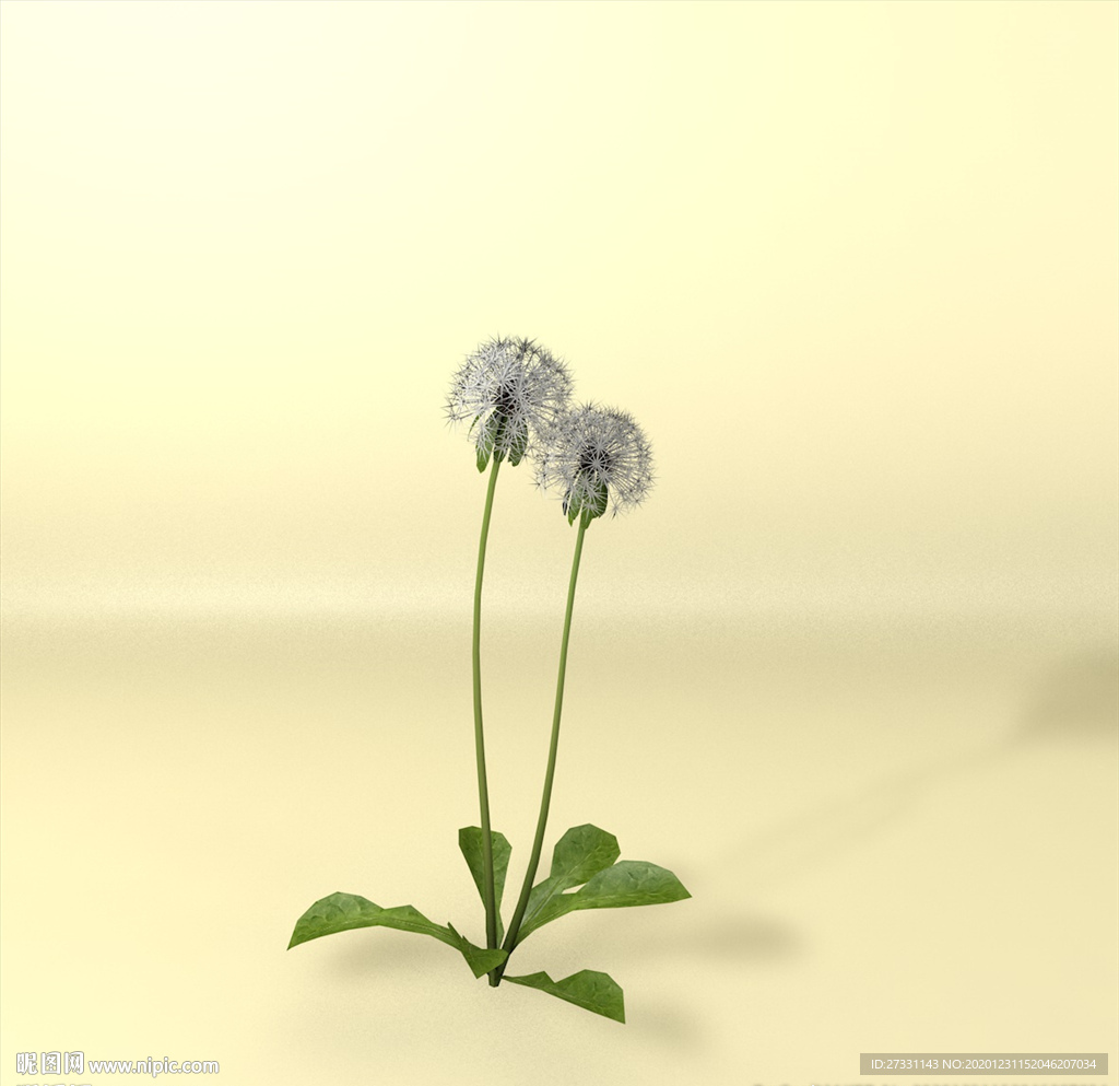 花草模型 植物模型 花卉模型