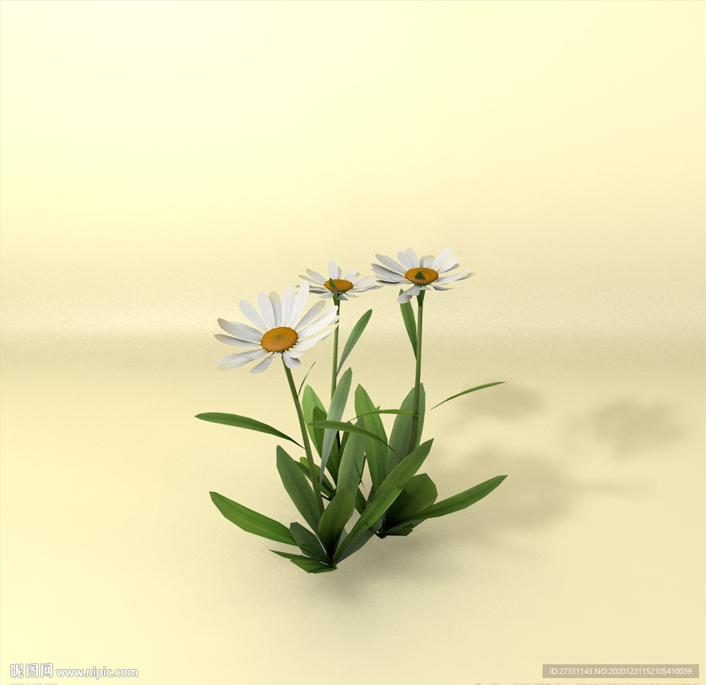 花草模型 植物模型 花卉模型