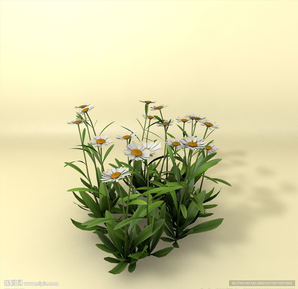 花草模型 植物模型 花卉模型