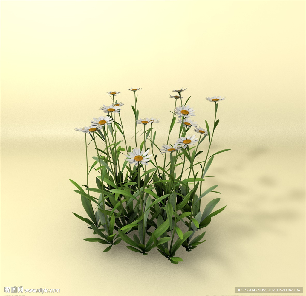花草模型 植物模型 花卉模型