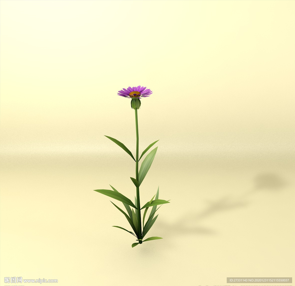 花草模型 植物模型 花卉模型