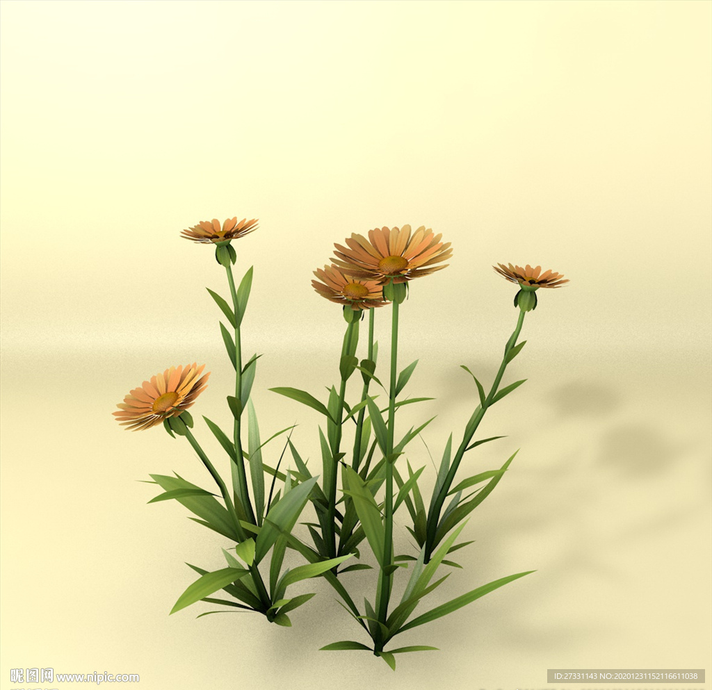 花草模型 植物模型 花卉模型
