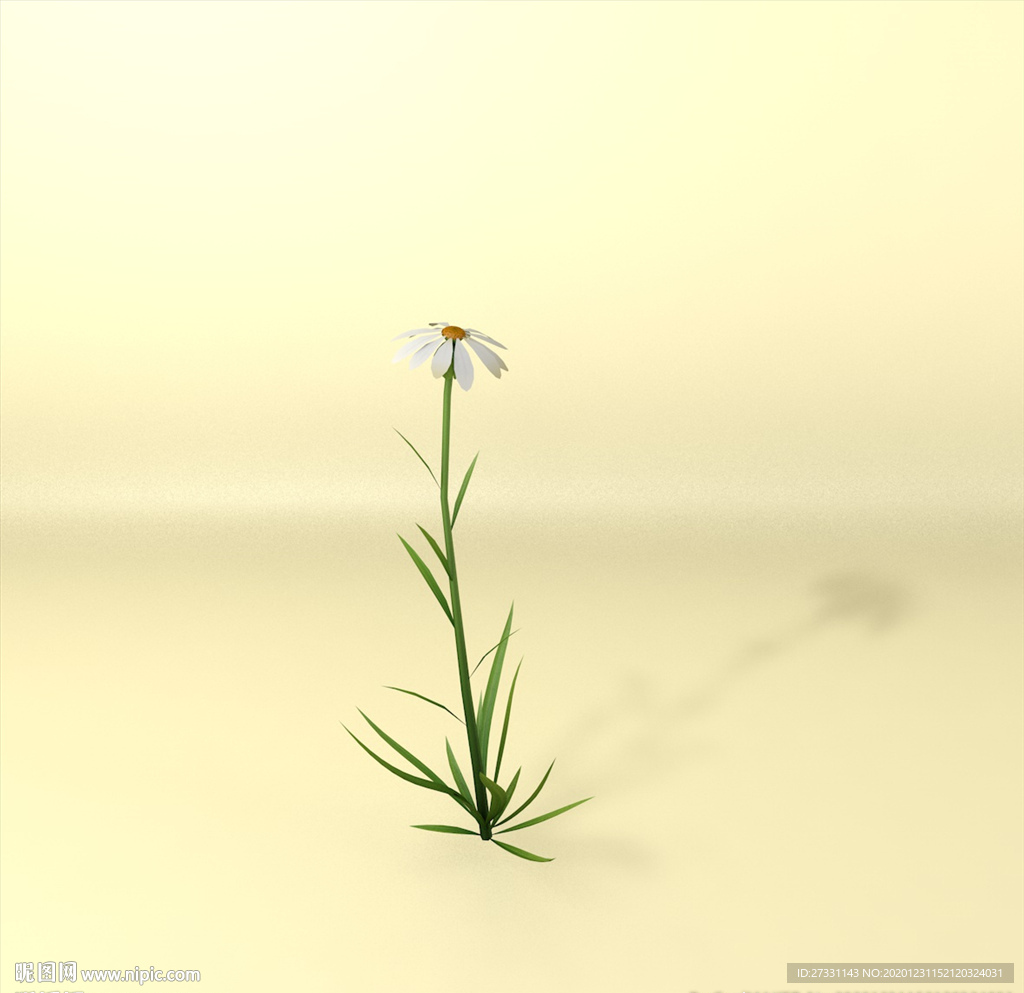 花草模型 植物模型 花卉模型