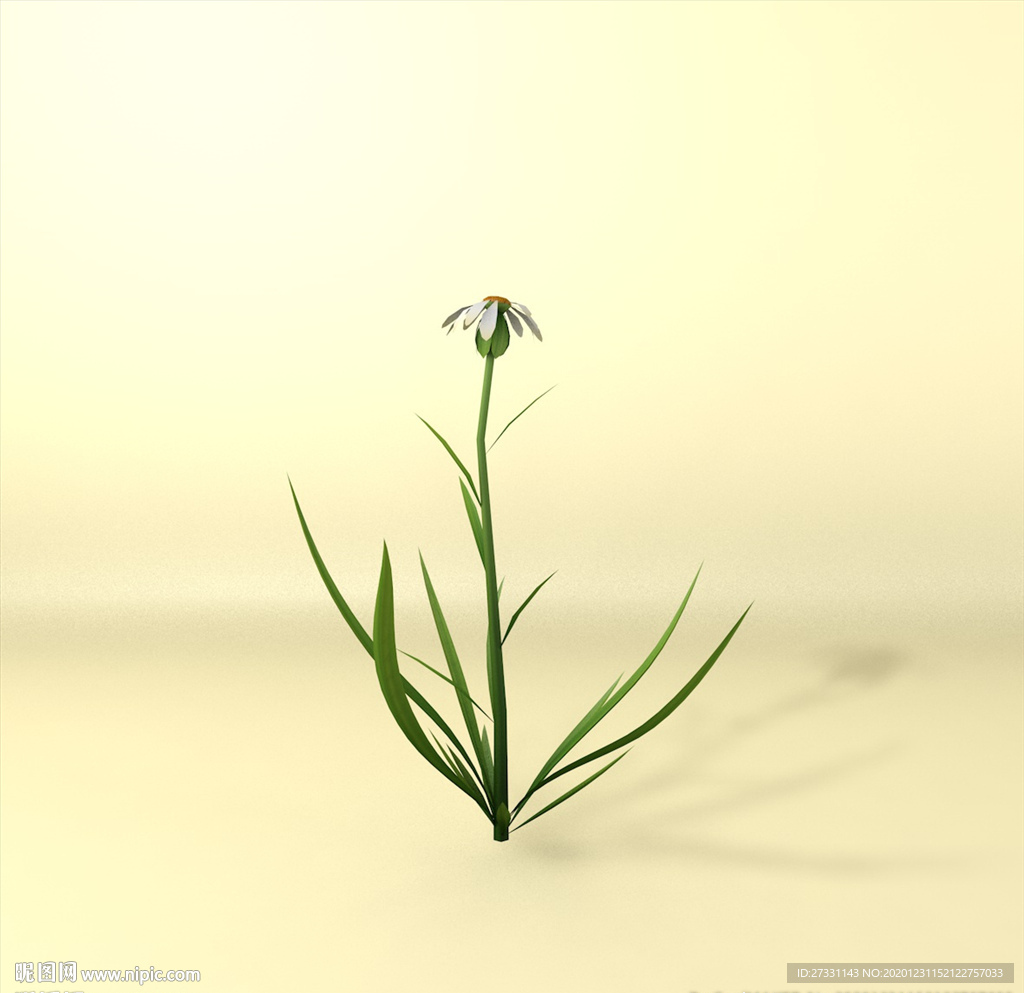 花草模型 植物模型 花卉模型