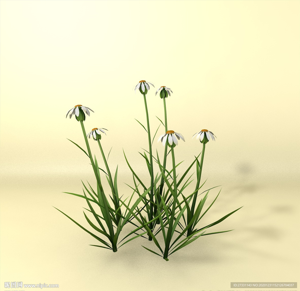 花草模型 植物模型 花卉模型
