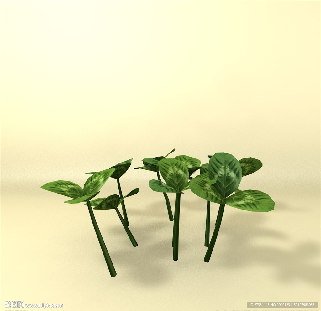 花草模型 植物模型 花卉模型