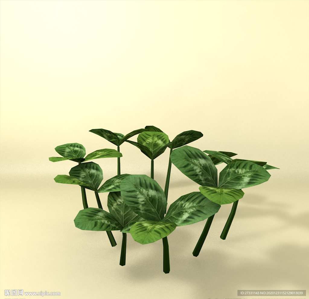 花草模型 植物模型 花卉模型
