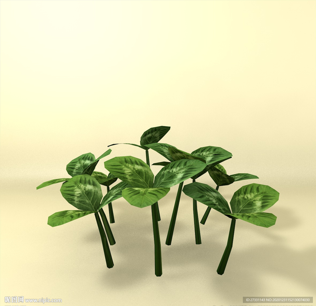 花草模型 植物模型 花卉模型