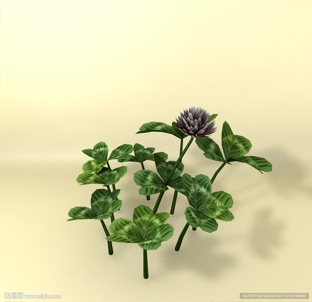 花草模型 植物模型 花卉模型