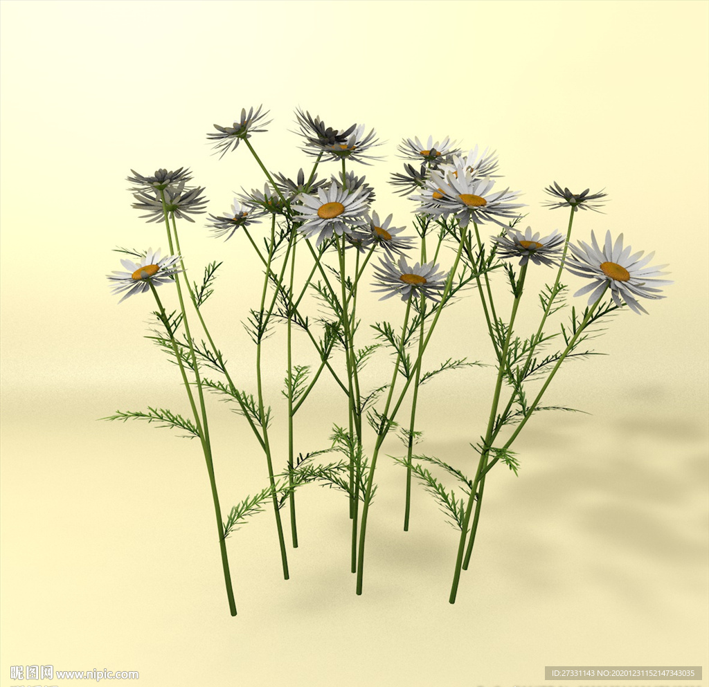花草模型 植物模型 花卉模型