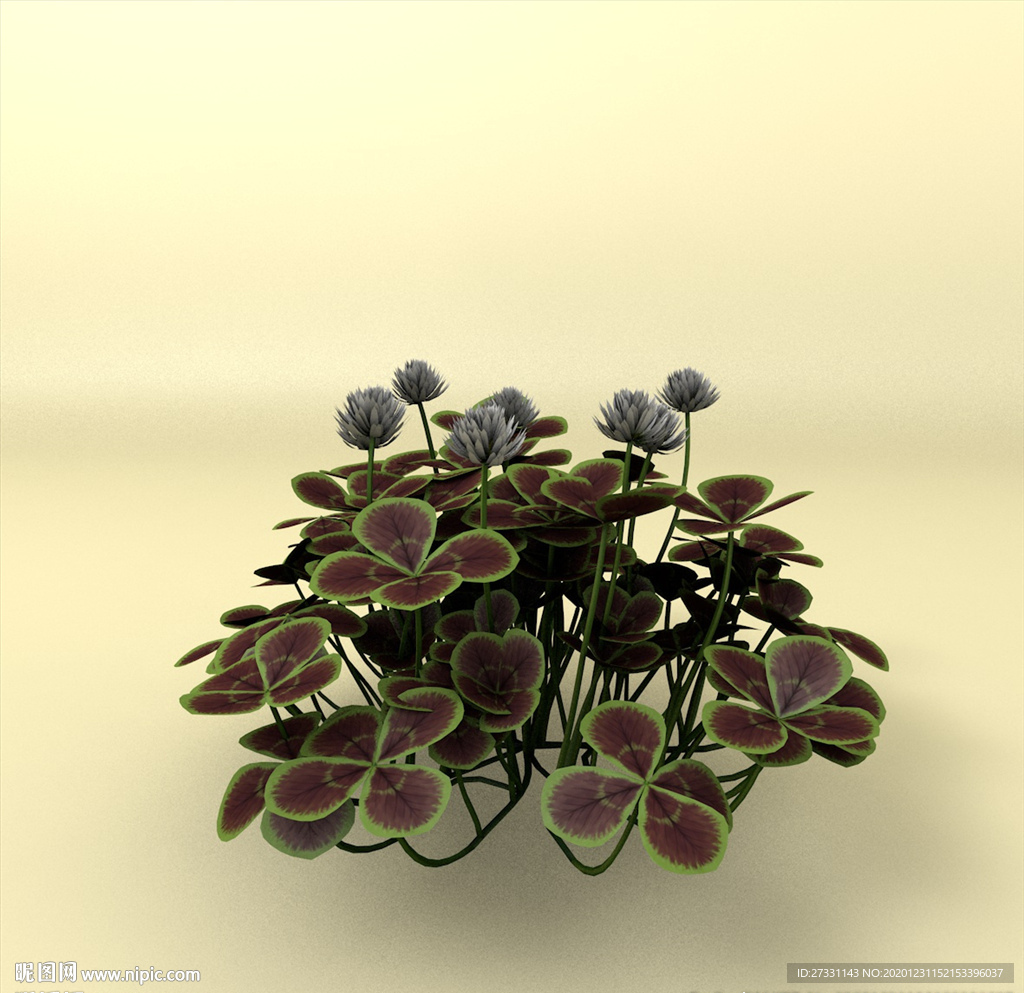 花草模型 植物模型 花卉模型