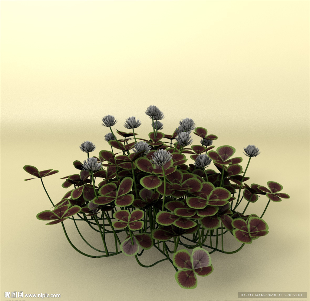 花草模型 植物模型 花卉模型